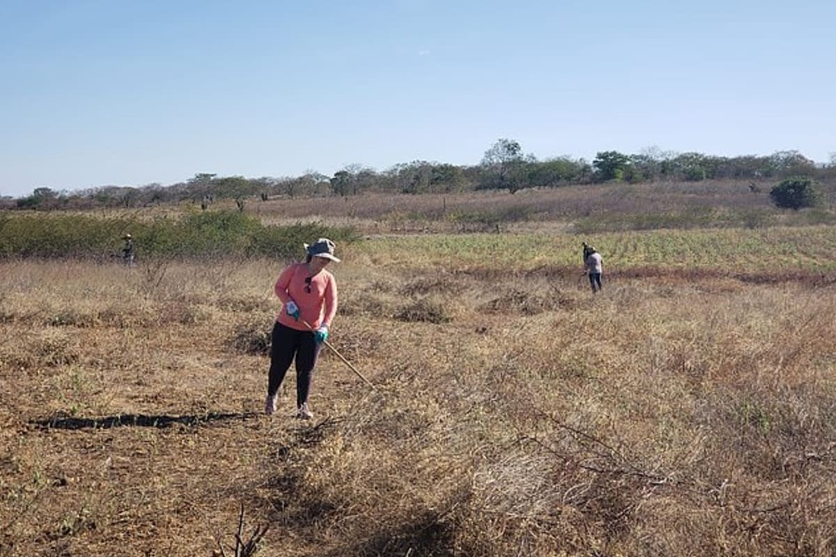 Cazadores de meteoritos llegaron desde distintos puntos de Brasil y de otros países, como Uruguay, Estados Unidos e Inglaterra (Charles Araujo)
