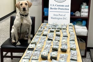 CBP advirtió que ocultar fondos puede derivar en sanciones como la confiscación del dinero y del vehículo