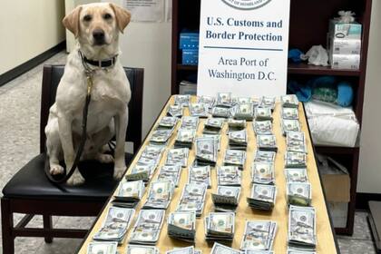 CBP advirtió que ocultar fondos puede derivar en sanciones como la confiscación del dinero y del vehículo