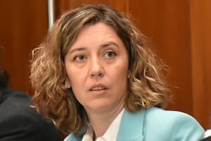 Cecilia Goyeneche