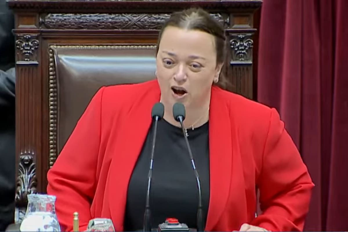 Cecilia Moreau dio inicio a la sesión en la Cámara de Diputados