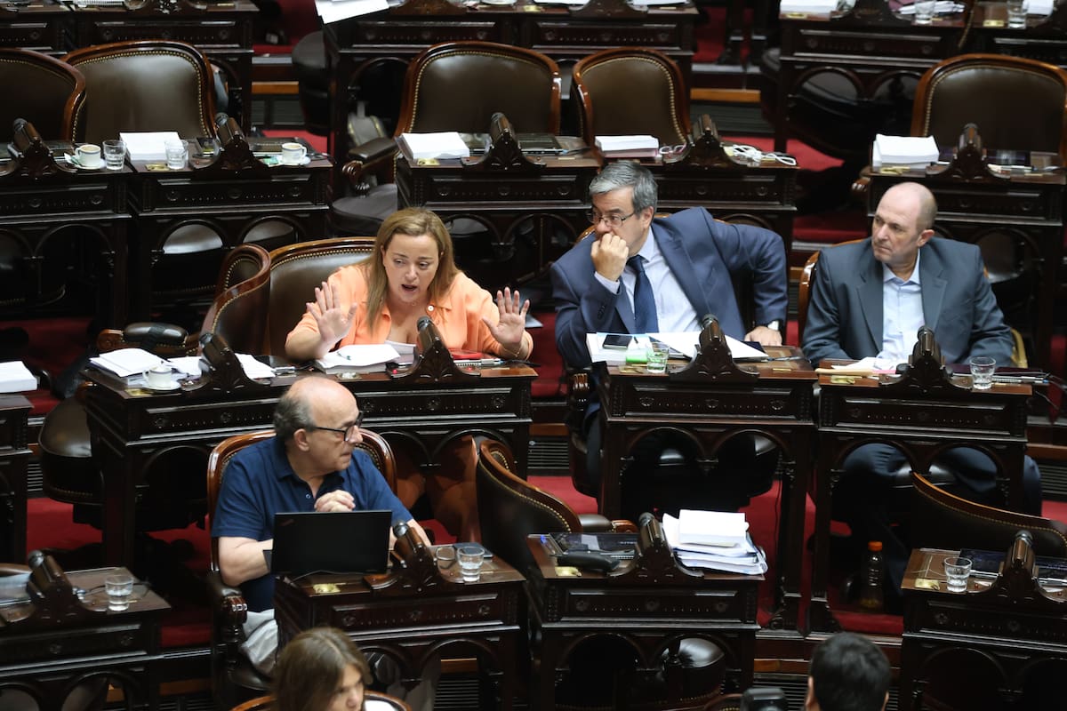 Cecilia Moreau durante la sesión en Diputados por la "Ley Ómnibus"