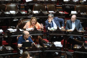 Cecilia Moreau durante la sesión en Diputados por la "Ley Ómnibus"