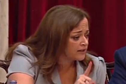 Cecilia Moreau es una de las autoras del proyecto de ley.