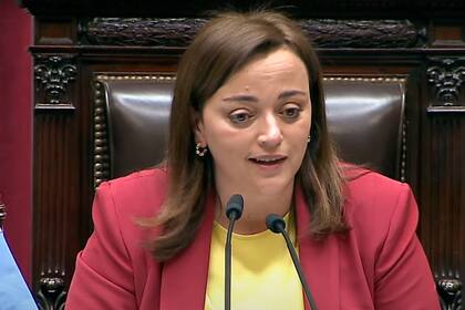 Cecilia Moreau fue electa como presidente de la Cámara