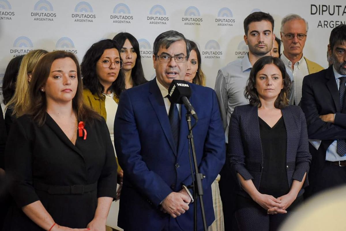 Cecilia Moreau, Germán Martínez y Vanesa Siley, espadas del Frente de Todos en el juicio político a la Corte