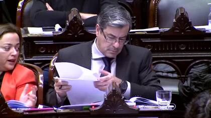 Cecilia Moreau y Germán Martínez en plena sesión de la Cámara baja