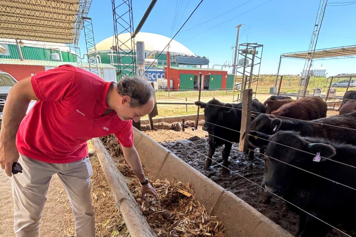 Cecilio de Souza, socio fundador de BiodeS y presidente de Agro de Souza SA