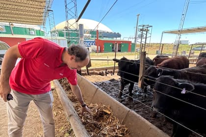 Cecilio de Souza, socio fundador de BiodeS y presidente de Agro de Souza SA