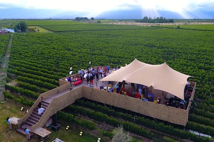 Celebración de casamiento en la bodega Domaine Bousquet, en Valle de Uco