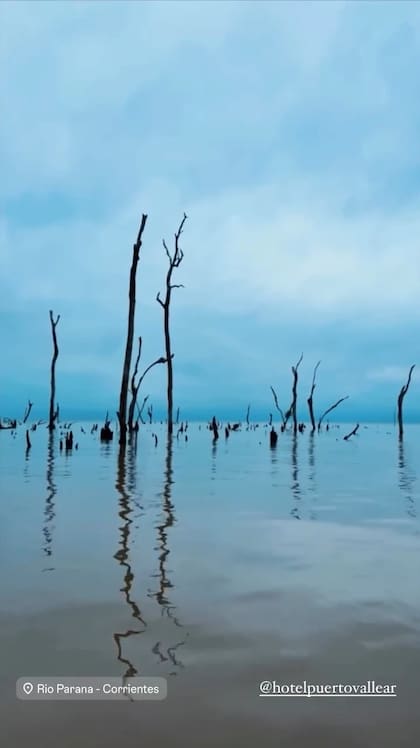 Celeste Cid y Santiago Korovsky viajaron a los Esteros del Iberá y recorrieron en bote el pantano