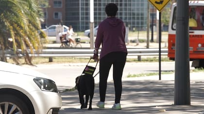 A Celeste le encanta pasear con Mudgie que la guía a todos lados