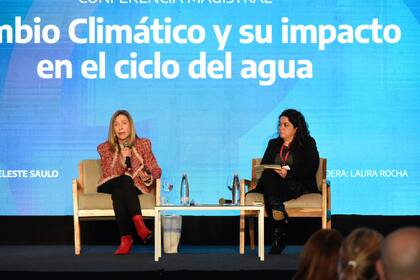 Celeste Saulo, al disertar en la Congreso Nacional del Agua 2025
