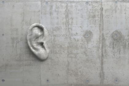 Cement sculpture in the shape of a human ear on a concrete wall. Illustration of the metaphor "Even walls have ears." Creative conceptual modern art with copy space. 3D rendering