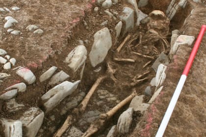 Cementerio británico reveló 70 tumbas de personas de 'alto estatus' de la edad media (Foto: Andy Seaman)