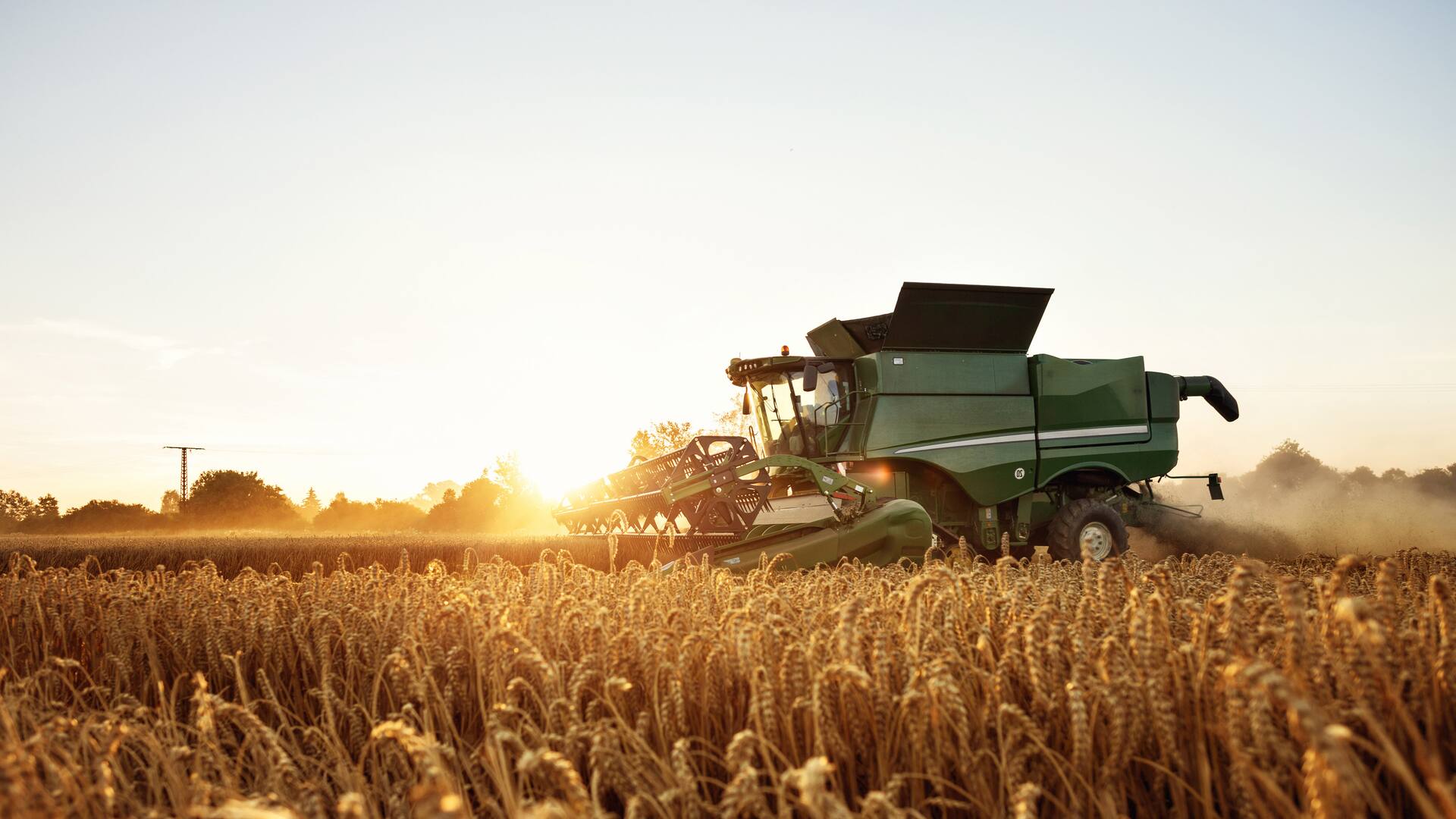 Centro de Excelencia en Agronegocios: la herramienta para potenciar la transformación del campo.
