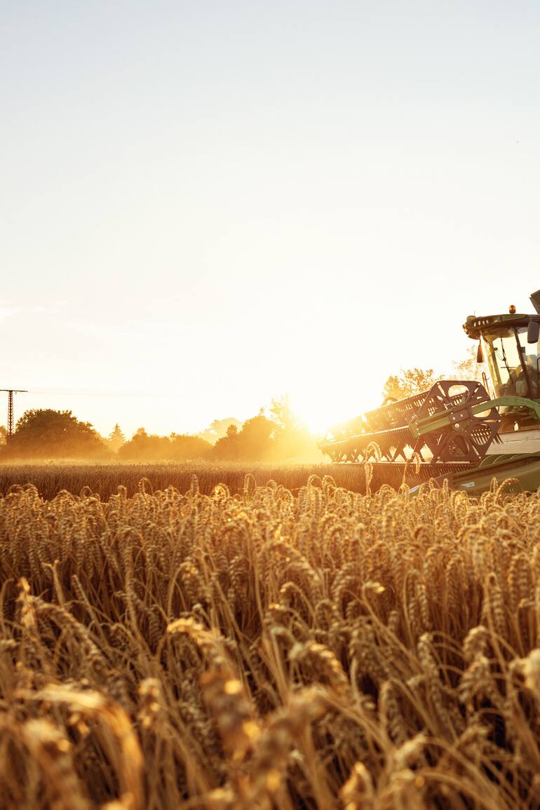 Centro de Excelencia en Agronegocios: la herramienta para potenciar la transformación del campo.