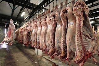 Cepo a la exportación: la carne barata de hoy es carne cara mañana