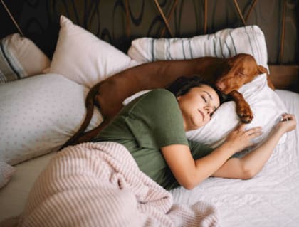 Cerca de la mitad de los dueños de perros prefieren dormir en compañía de sus animales