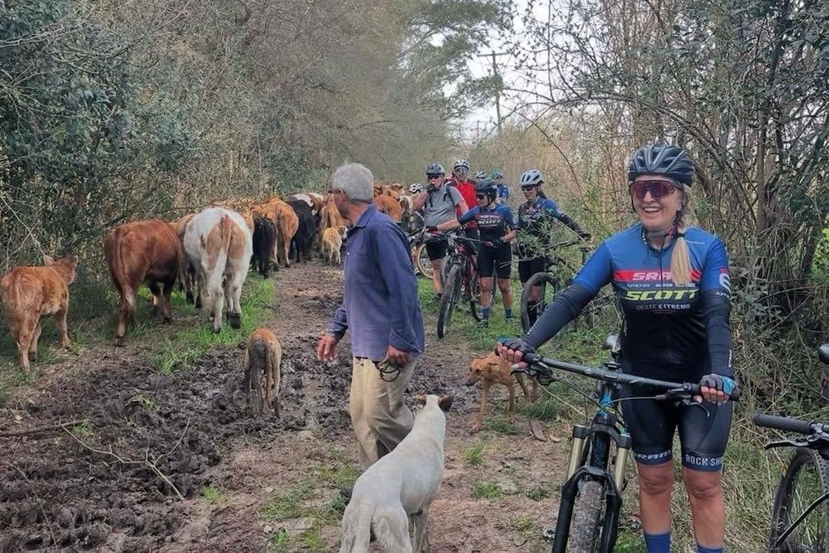 Cerca de Villars es frecuente cruzarse con vacas