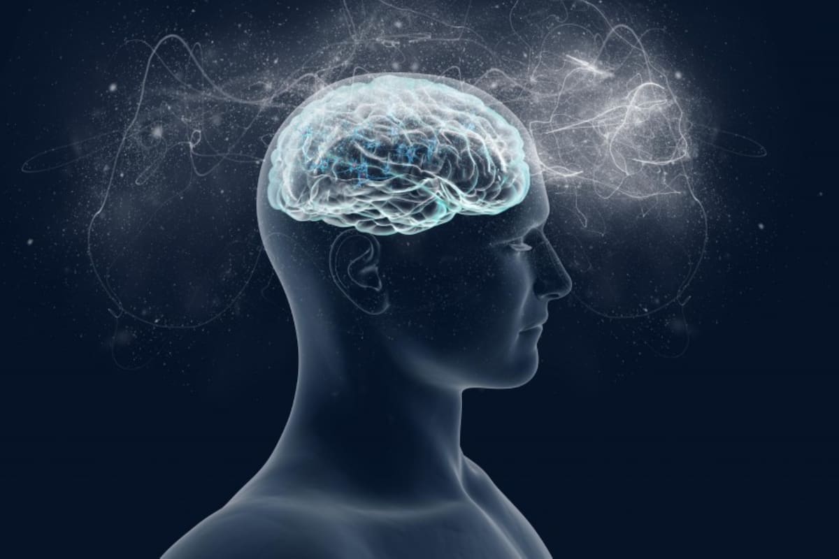 Cerebro