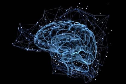 Cerebro:  la existencia de los llamados “superancianos” representa un desafío y una oportunidad para comprender la raíz de su salud  y el envejecimiento sano
