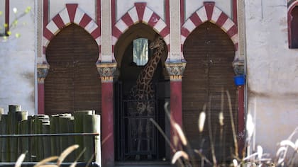 Quieren poner locales gastronómicos en el ex zoo