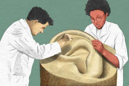 cerumen; BBC; BBC Mundo; sociedad