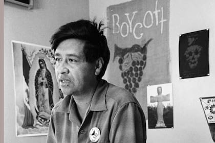 César Chávez, un trabajador agrícola, organizador laboral y líder de la huelga de la uva de Delano, California, fotografiado en 1965 en una oficina de California; se difundieron denuncias de abuso perpretadas en los años 70 (AP Foto, George Brich, Archivo)