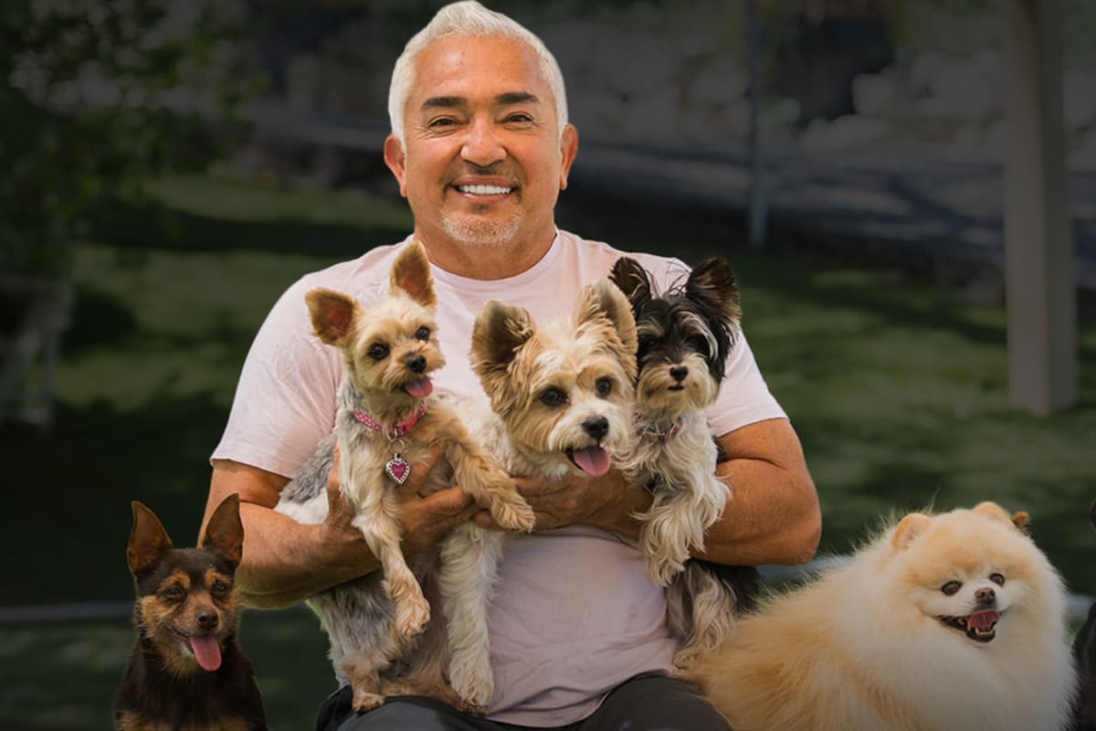 César Millán, reconocido adiestrador de perros y amante de los animales