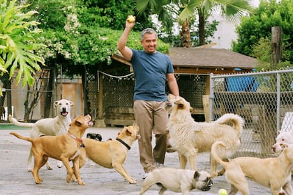 César Millán habló de su nueva vida y de su sueño cumplido: el primer centro psicológico canino, erigido en Santa Clarita, California