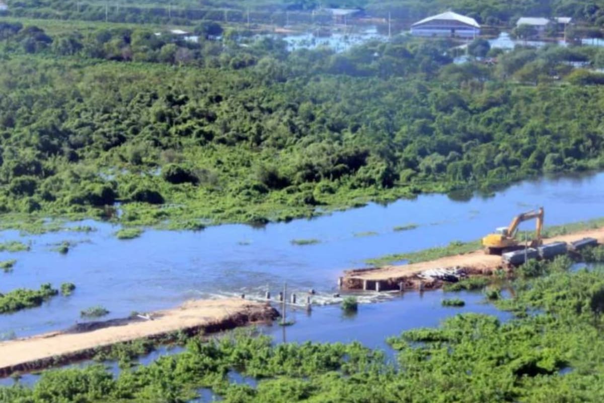 Chaco es la provincia del país con más desforestación