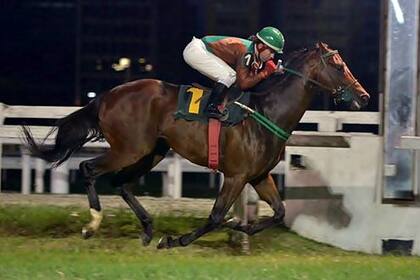 Champion Star, en su última victoria en Brasil