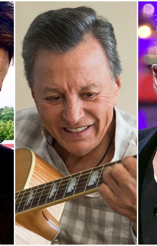 Chano disfruta que sus temas sean utilizados por la corriente macrista, Palito Ortega musicalizó la vuelta de Perón al país y Vicentico se enfureció con Carlos Saúl Menem