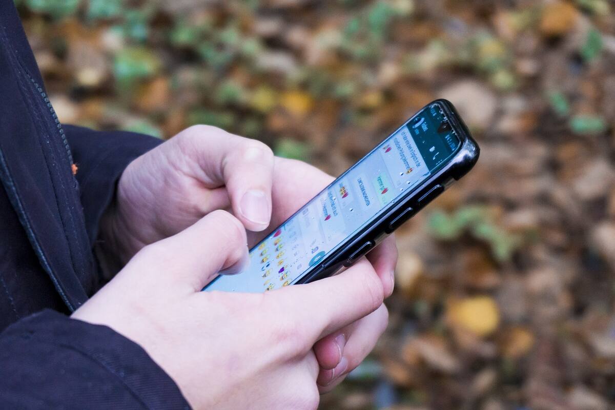 Chatmigrante para resolver dudas a través de WhatsApp de forma segura y en su idioma natal