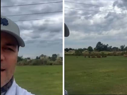 Chayanne sorprendido con los carpinchos en Argentina
