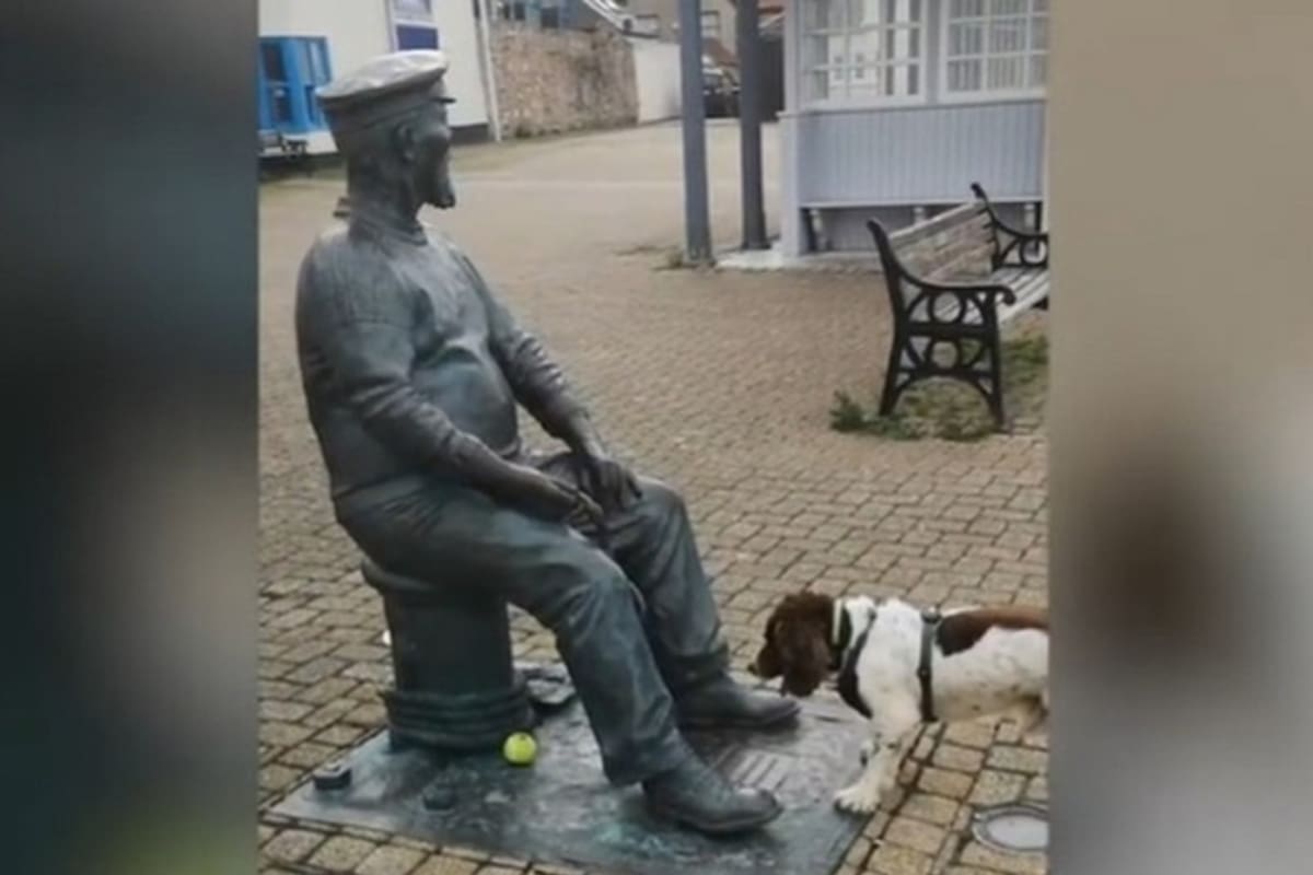 Chester, el tierno perro que intenta jugar con una estatua