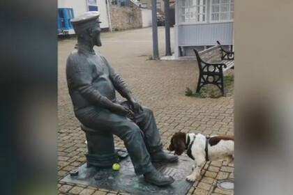 Chester, el tierno perro que intenta jugar con una estatua