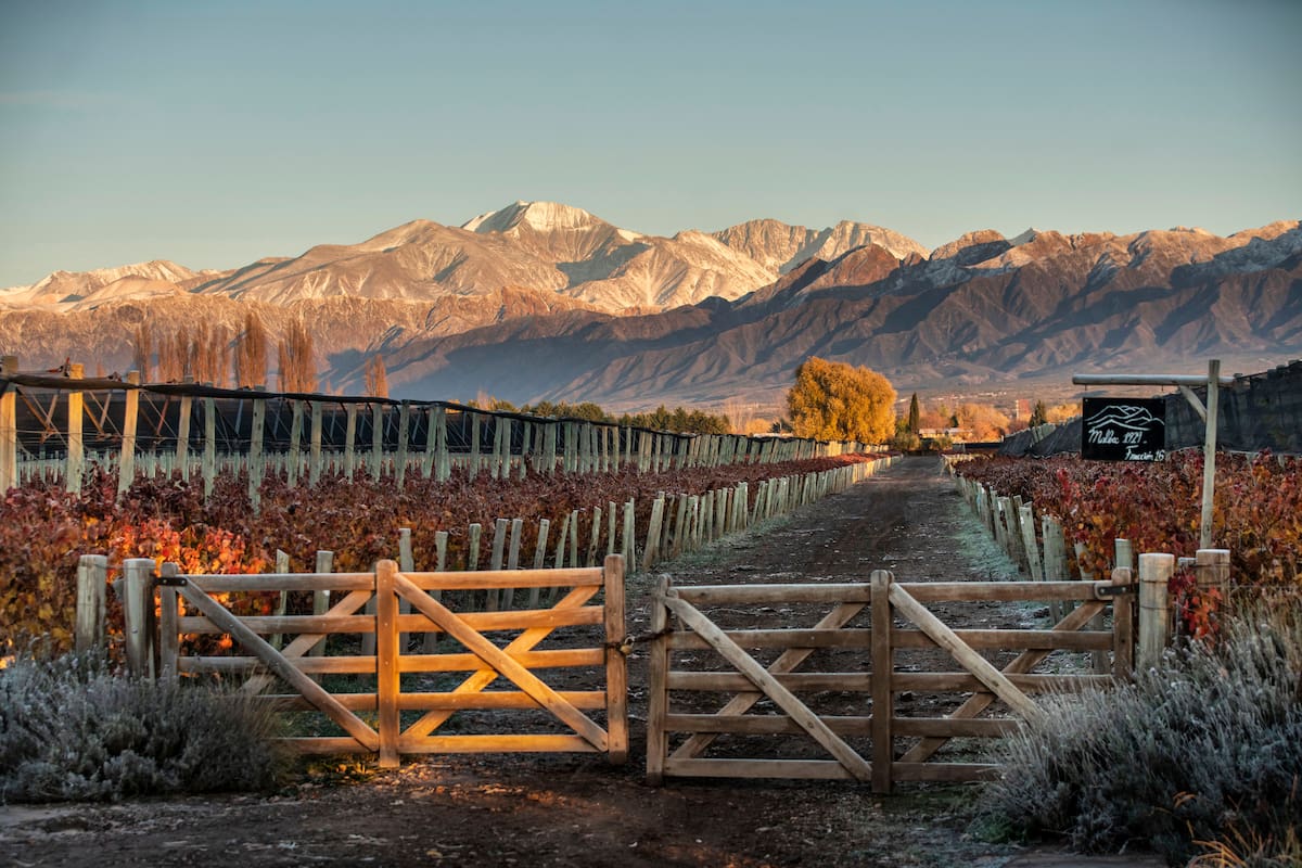 Tranquera de ingreso a la finca de Cheval des Andes en Las Compuertas