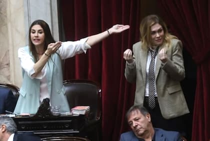 Chicanas entre las diputadas Marcela Pagano y Lilia Lemoine