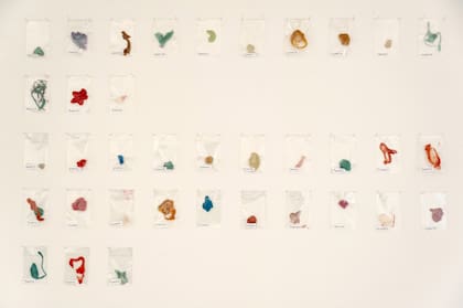 Chicles recolectados en la vía pública como si fueran piezas de museo. Chicla y pega (2012)