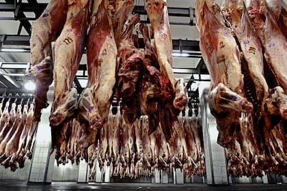 China compró casi el 55% de los cortes de carne fresca exportada