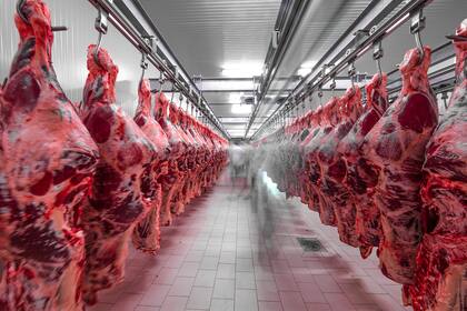 China es el primer mercado para la carne argentina