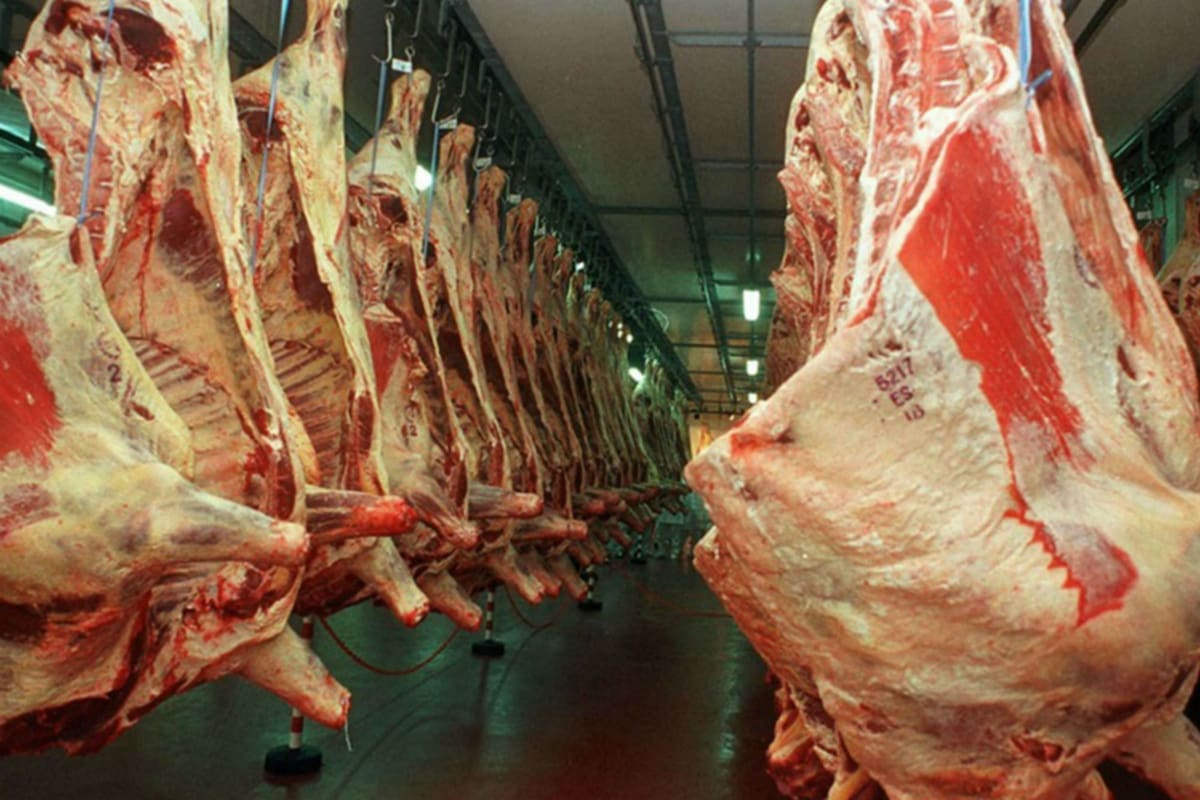 China se llevó en el primer semestre del año el 51,5% de las ventas al exterior de la Argentina