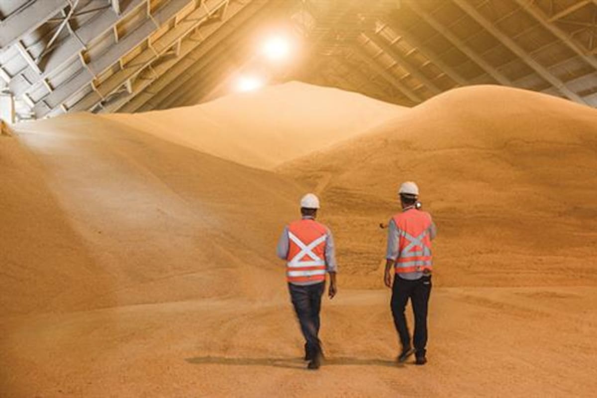 China tiene un gran stock del cereal