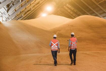 China tiene un gran stock del cereal