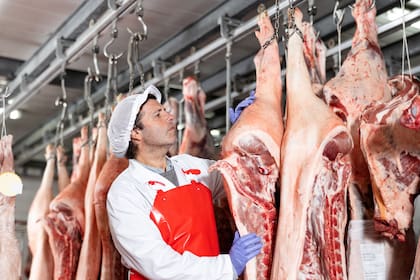 China, Uruguay y Costa de Marfil se encontraron entre los compradores que tuvo el país