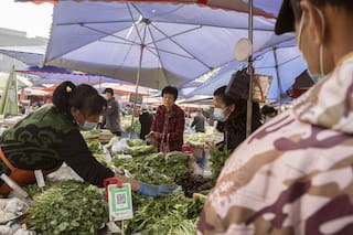 Por qué la Argentina necesita que China le compre maíz