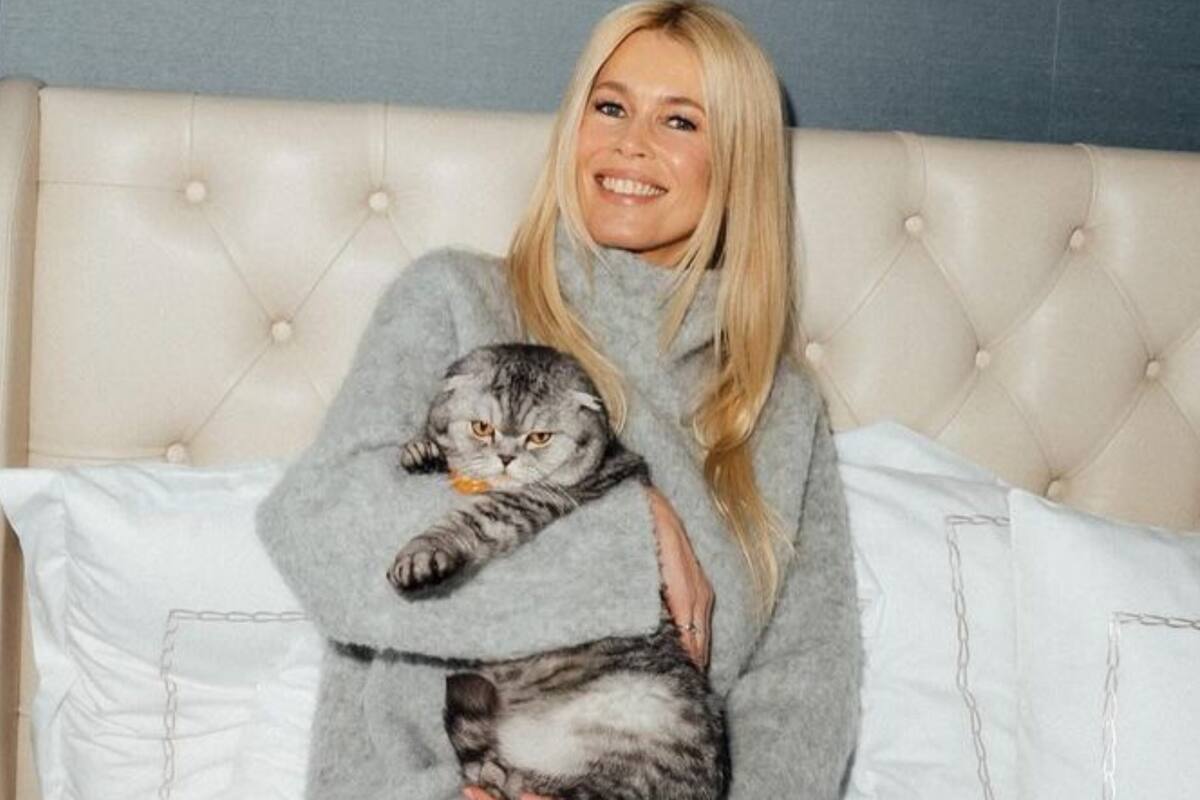 Chip, el gato de Claudia Schiffer que deslumbra en las redes sociales
