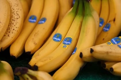 Chiquita Brands es heredera de la United Fruit Company, que operó en Centroamérica desde finales del siglo XIX.